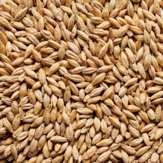 Joe White Pilsner Malt